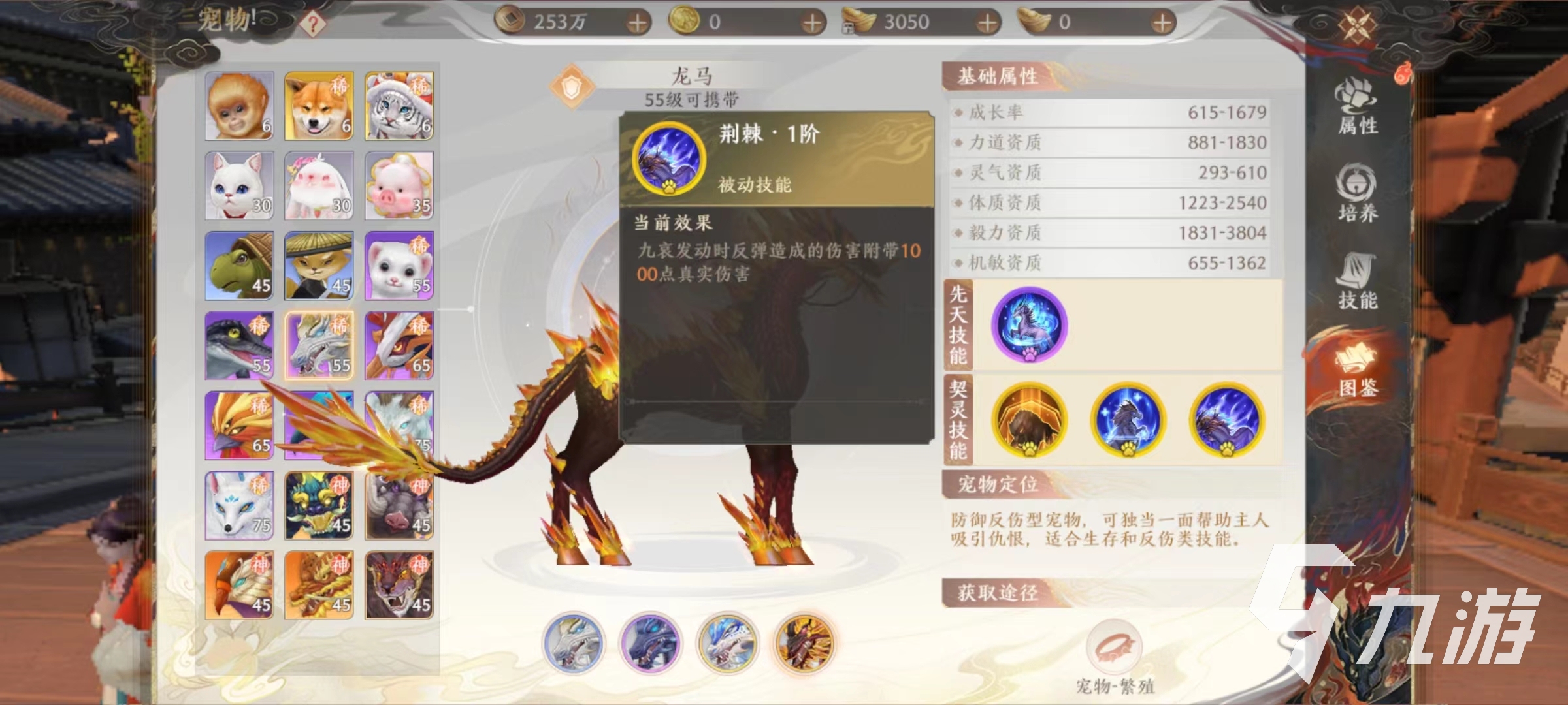 天龙八部2手游龙马属性怎么样 天龙八部2飞龙战天龙马强度介绍