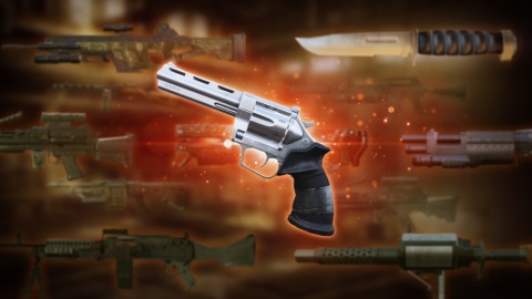生化危机辐射截图
