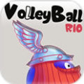  Rio Tinto Volleyball