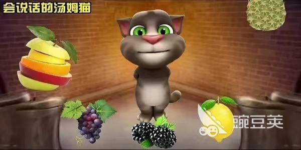 适合小猫咪玩的游戏有哪些 猫咪能玩的游戏推荐2023