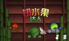 适合小猫咪玩的游戏有哪些 猫咪能玩的游戏推荐2023