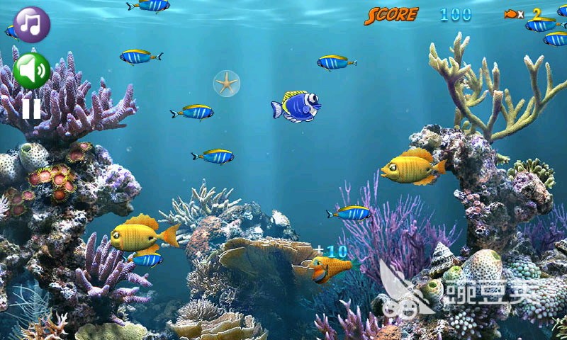 大鱼吃小鱼游戏手机版有哪些 经典的大鱼吃小鱼的手游合集2023