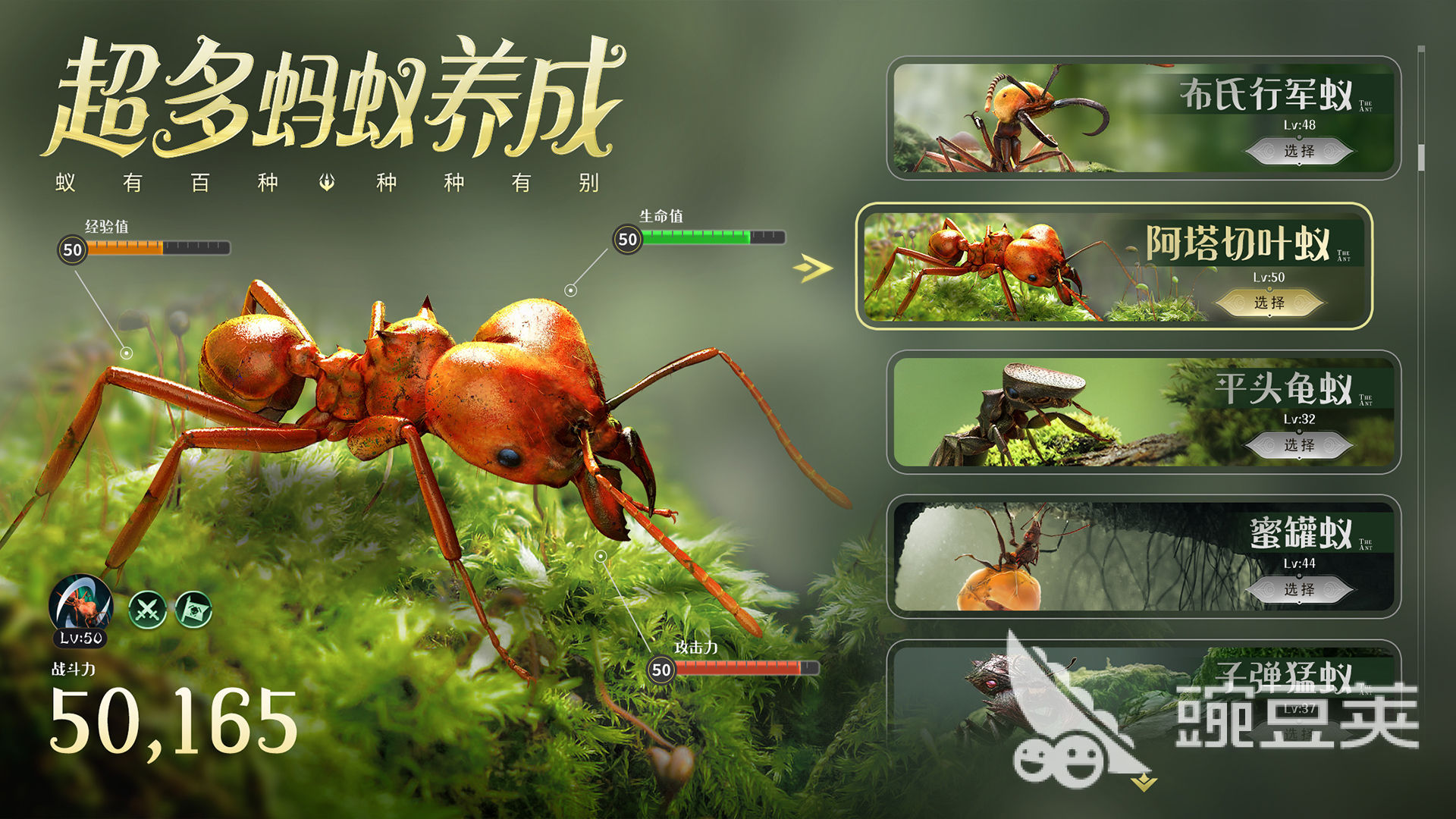 蚂蚁进化3d的游戏有哪些 2023高人气动物进化手游盘点