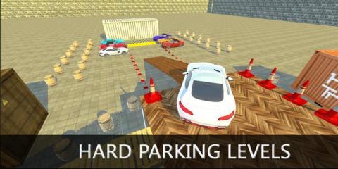 真实泊车3d截图3