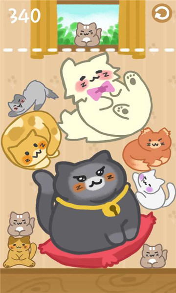 合并小猫咪截图1