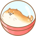  Fat Bread Dog