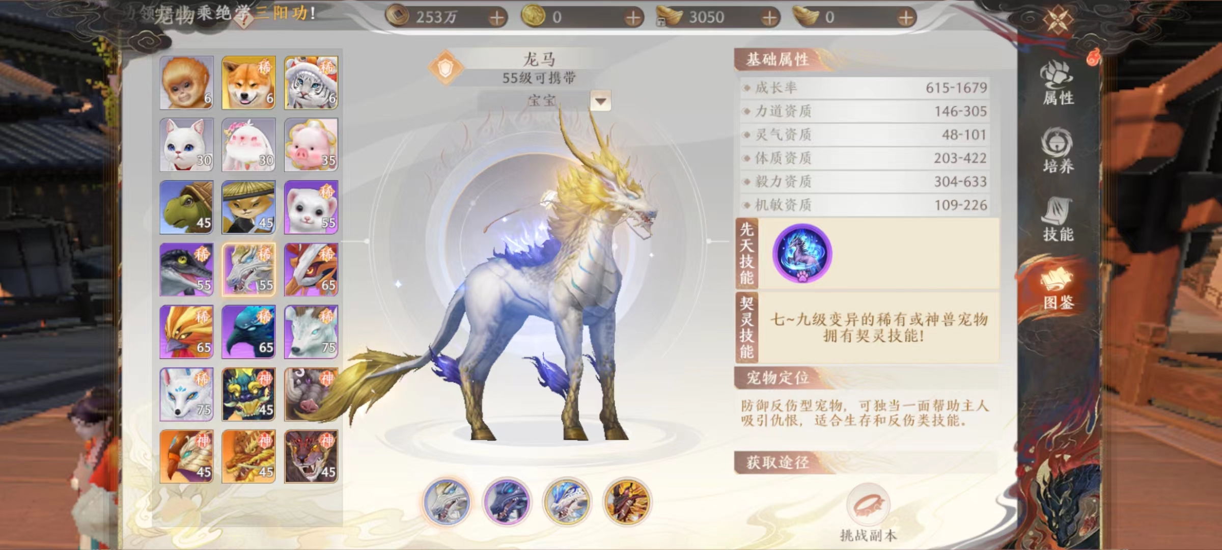 天龙八部2手游龙马属性怎么样 天龙八部2飞龙战天龙马怎么加点