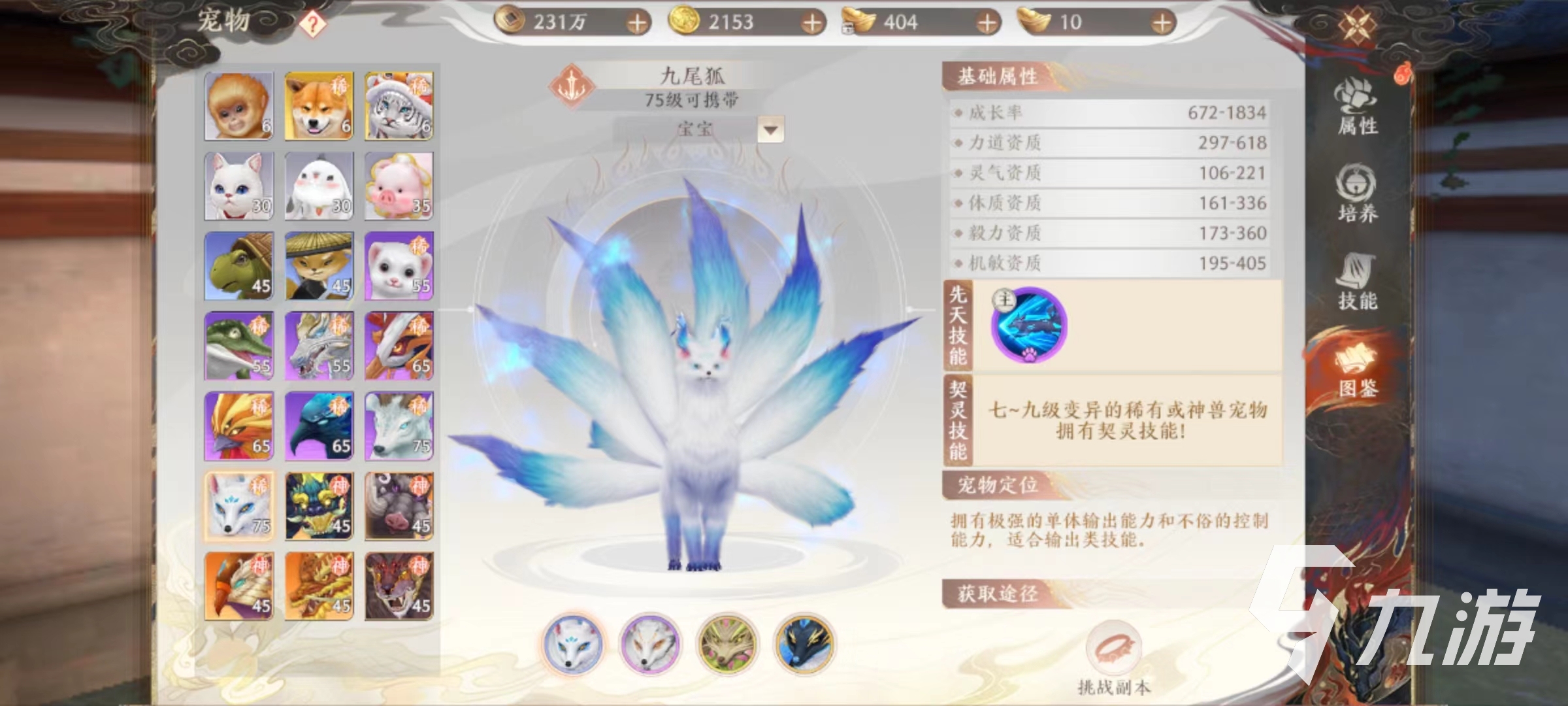 天龍八部2手游逍遙如何搭配寶寶 天龍八部2飛龍戰(zhàn)天逍遙寵物推薦