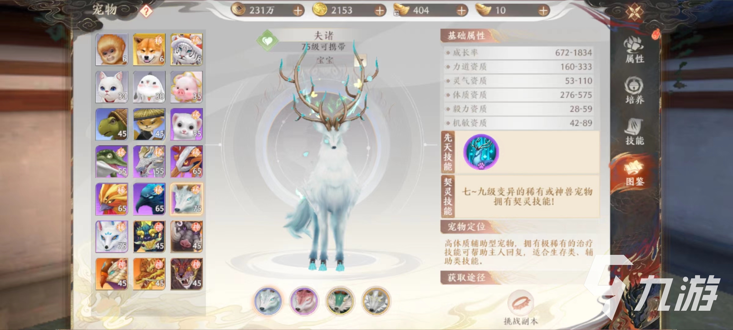 天龍八部2手游逍遙如何搭配寶寶 天龍八部2飛龍戰(zhàn)天逍遙寵物推薦