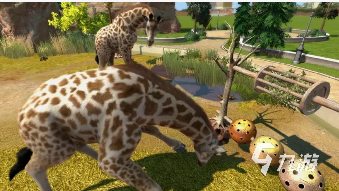 以动物为主题的游戏活动合集 动物园游戏下载排行2023