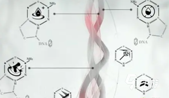 重構(gòu)阿塔提斯拉芙蘭芯片搭配 重構(gòu)阿塔提斯拉芙蘭芯片推薦