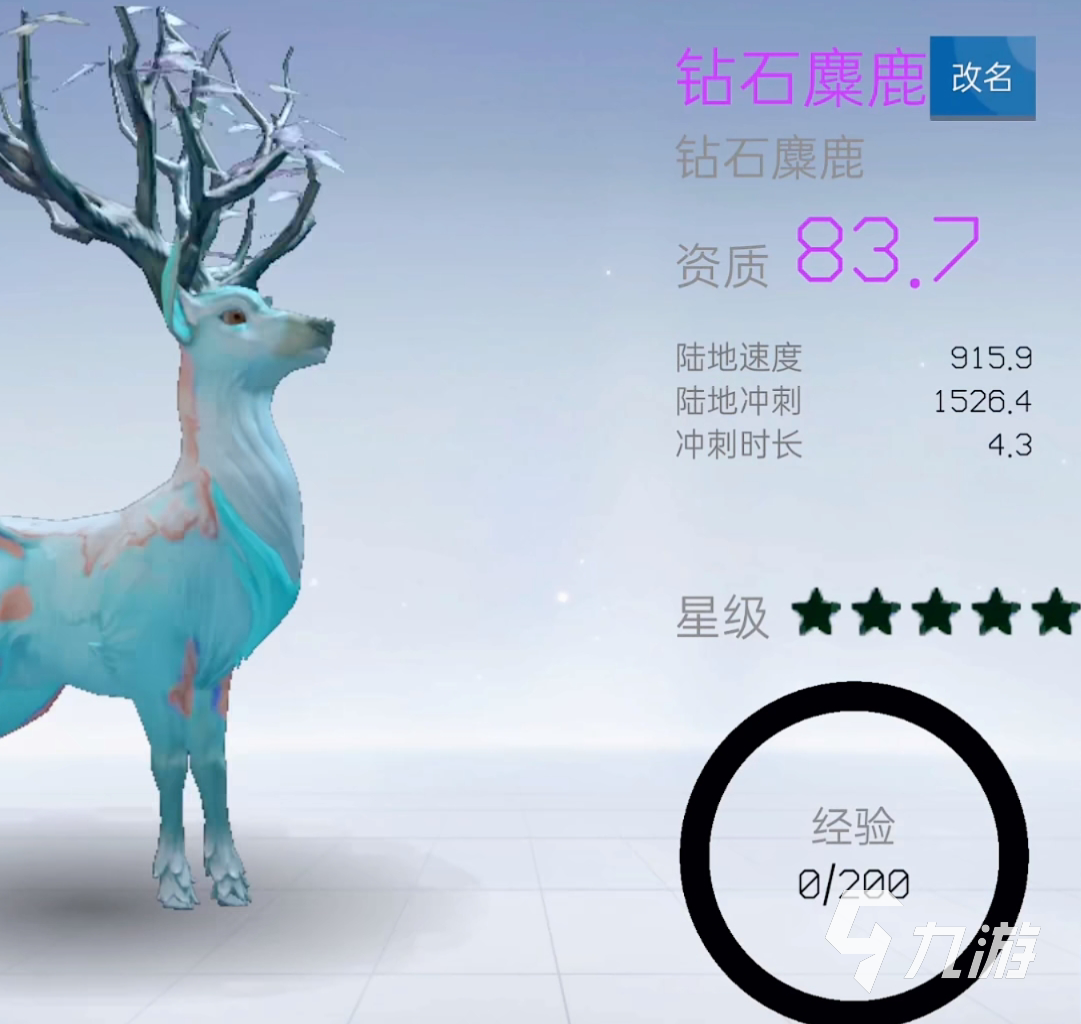 创造吧我们的星球宠物哪个好 创造吧我们的星球宠物培养推荐