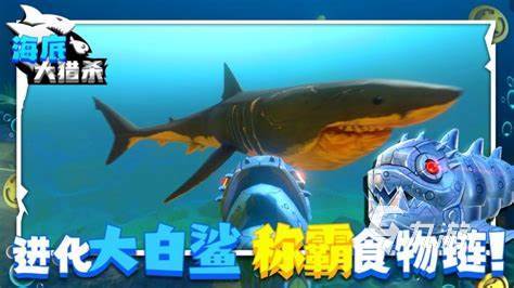 免费的模拟鲨鱼手游有哪些 2023好玩的鲨鱼手游推荐