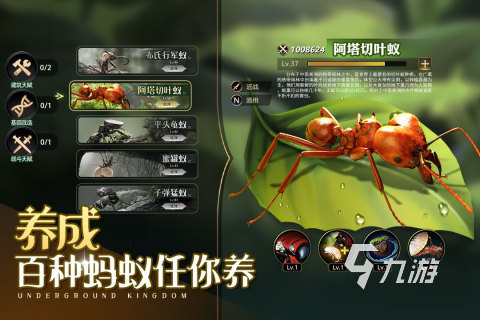 哪个策略游戏好玩 2023有趣的策略游戏合集