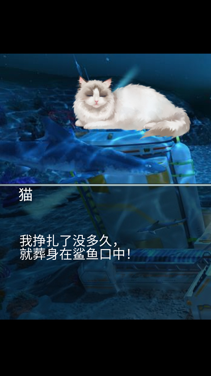 猫生煎熬好玩吗 猫生煎熬玩法简介