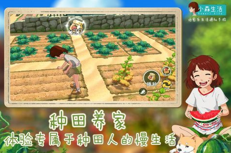 耐玩的生活的游戏下载推荐 2023慢节奏生活类的游戏下载推荐截图