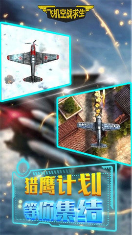 飞机空战求生截图2