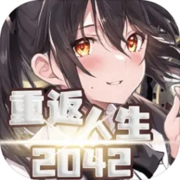 重返人生2042加速器