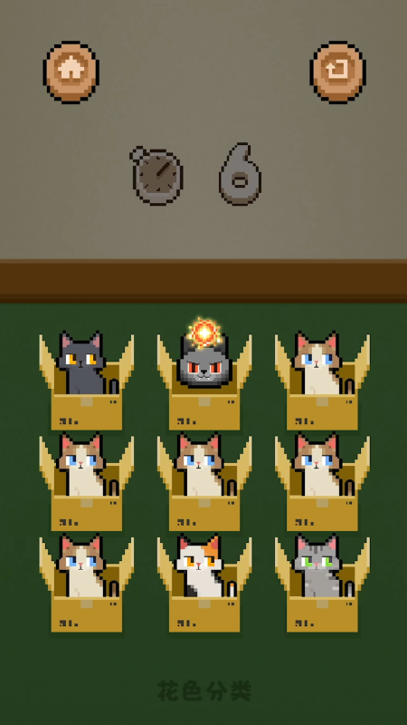 数猫猫截图2