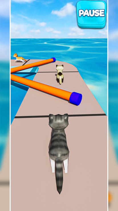 Cat Fun Race 3D Run Face Game什么时候出 公测上线时间预告