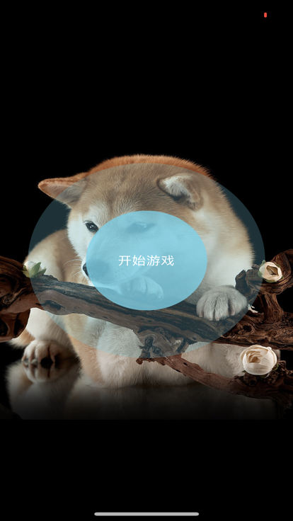 一張圖片截圖