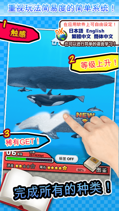 世界鲸与海豚图鉴好玩吗 世界鲸与海豚图鉴玩法简介