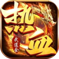 热血武道会超变风云
