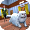 Cat and My Maid Fun加速器