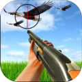 Birds Hunting Adventure