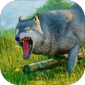 Wolf Simulator