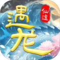 遇龍仙途