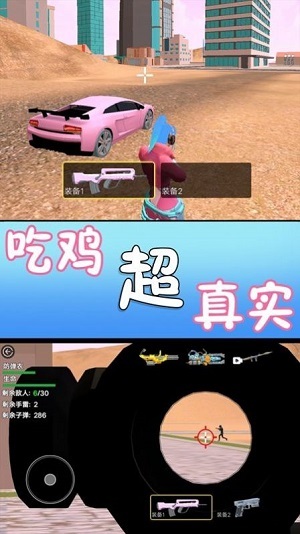 满级吃鸡截图2