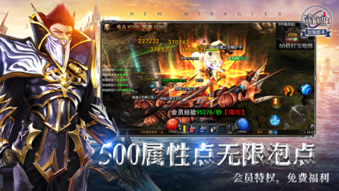 奇迹2神谕之剑截图3