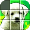 Grid Puzzle