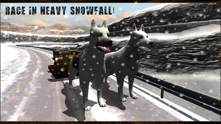Winter Snow Dog Sledding Ski Simulator 3D好玩吗 Winter Snow Dog Sledding Ski Simulator 3D玩法简介
