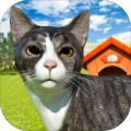 我可爱的宠物猫