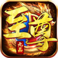 逐日傳奇九品至尊