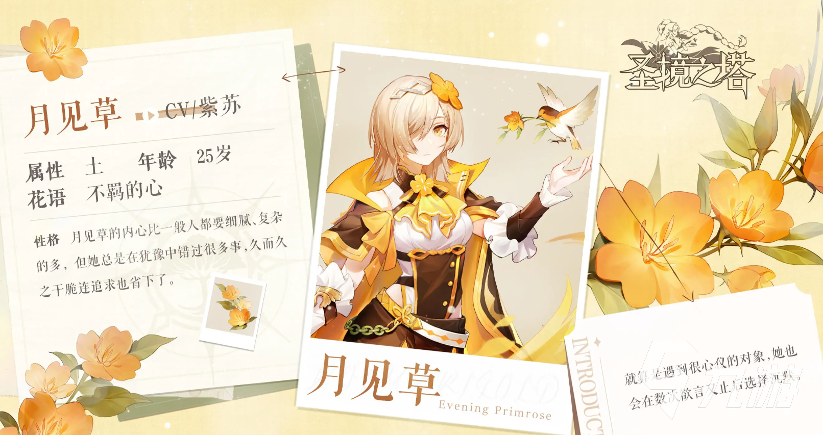 圣境之塔月见草怎么样 月见草角色分享