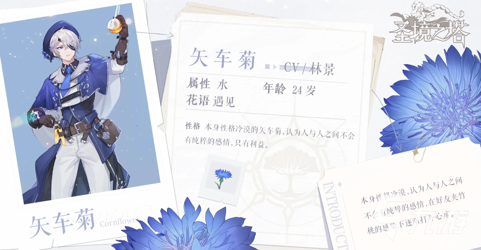圣境之塔矢车菊强度分享 圣境之塔矢车菊强度高吗