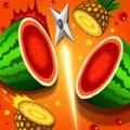 Crazy Juice Fruit Cutting Game