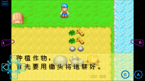 矿石镇的伙伴们截图3