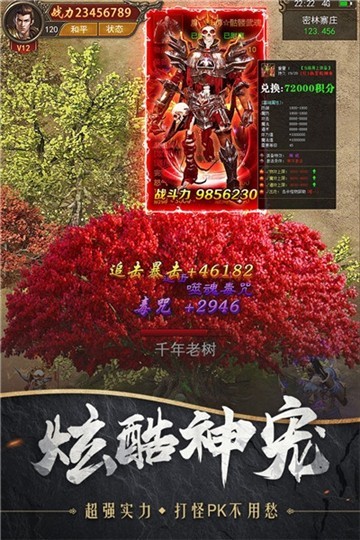 战诗传奇截图3