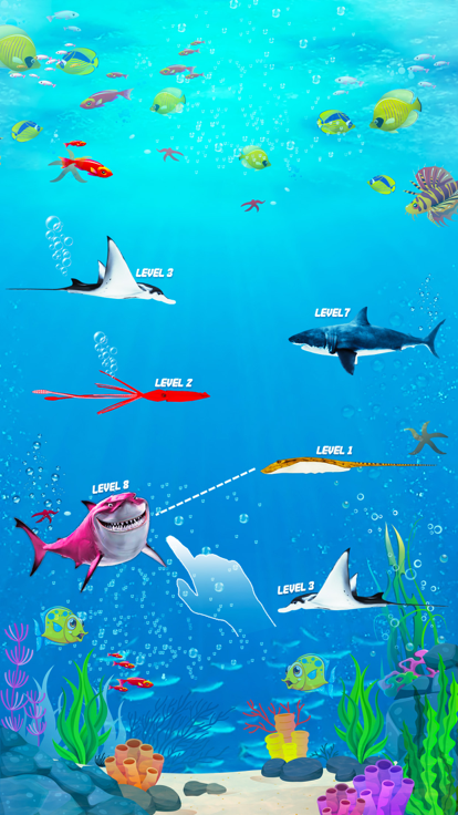 Merge & Eat Shark Evolution什么时候出 公测上线时间预告