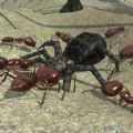 蚂蚁求生加速器