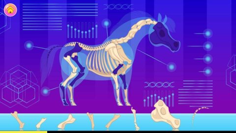 我的迷你小馬截圖2