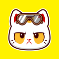 bombercat