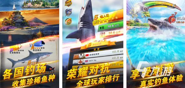 好玩的鱼游戏推荐2023 热门鱼类手游下载合集