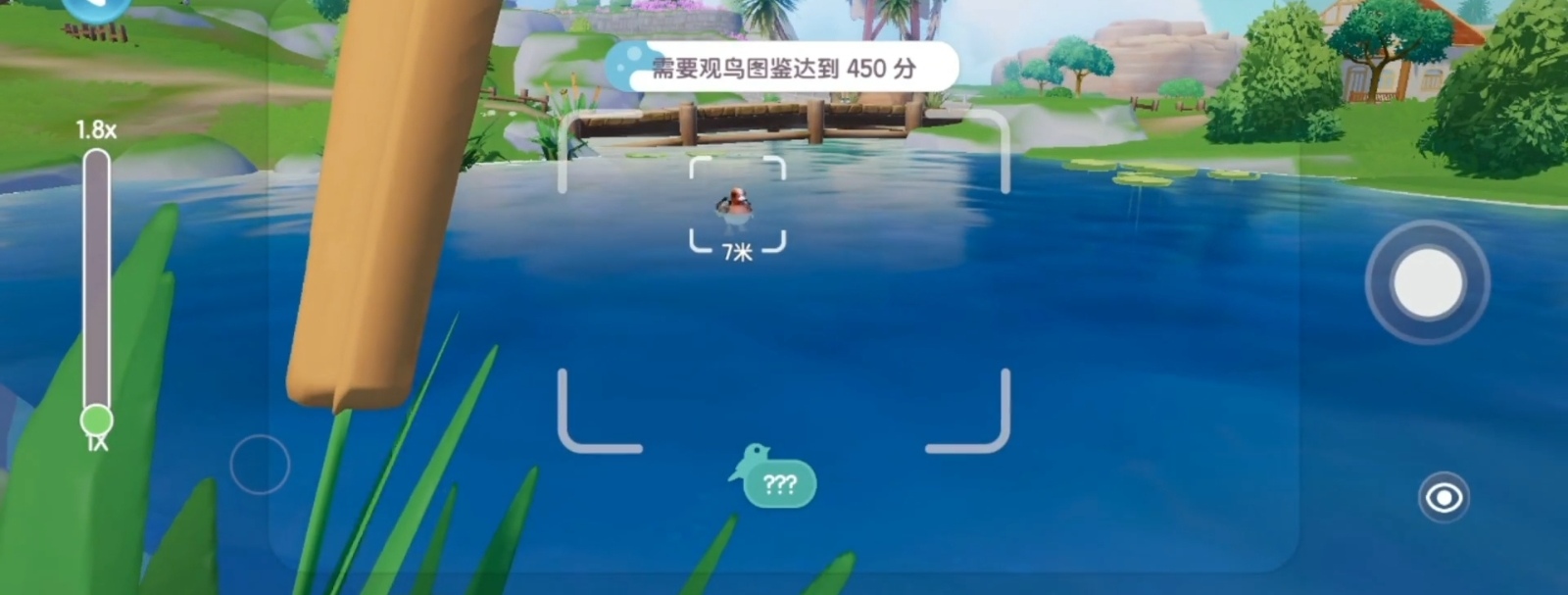 心动小镇观鸟收集指南攻略 心动小镇观鸟位置攻略截图