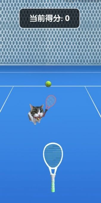猫咪网球好玩吗 猫咪网球玩法简介