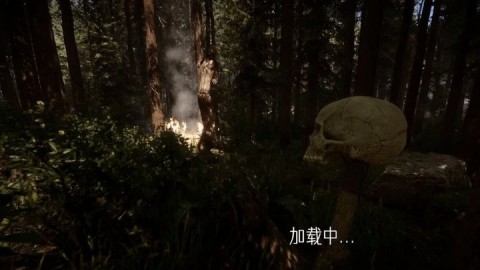 末日之后森林荒野生存截图2